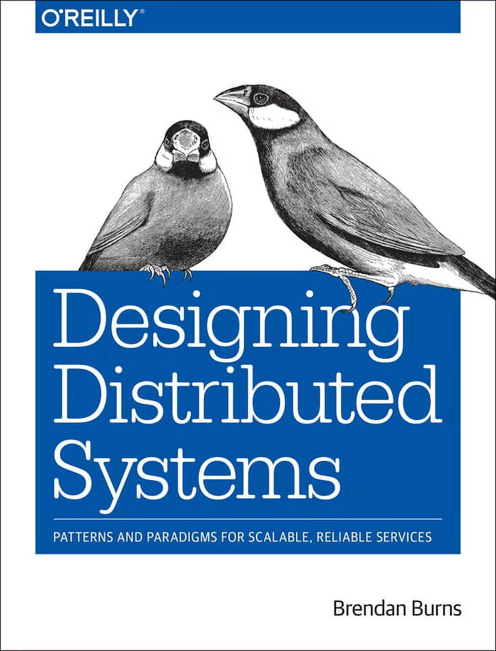 Designing-Distributed-Systems-Patterns-and-Paradigms-for-Scalable-Reliable-Services